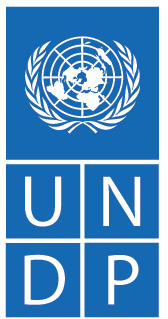 undp logo